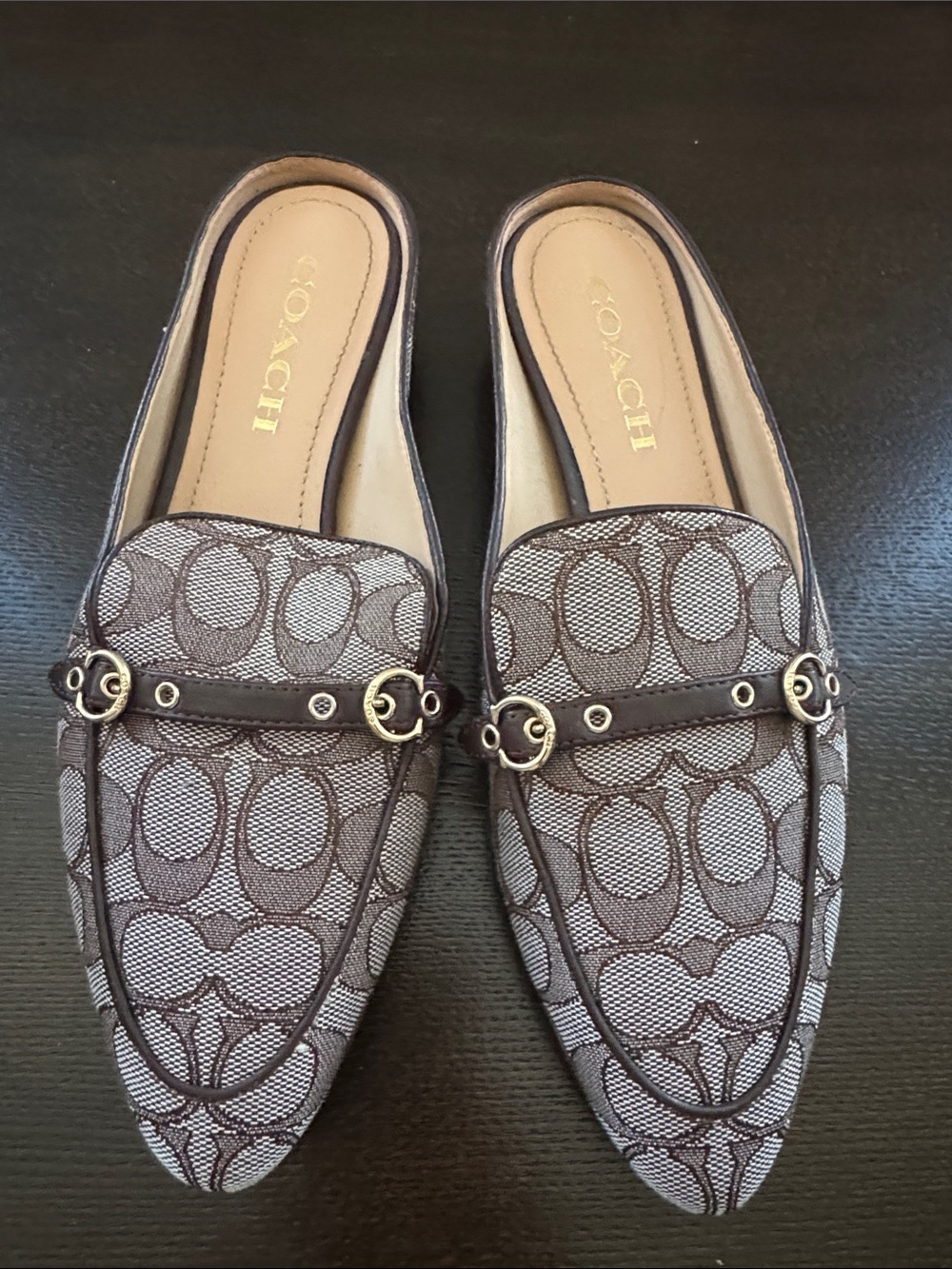 Coach Women’s Signature Logo Slip-On Loafers in Brown